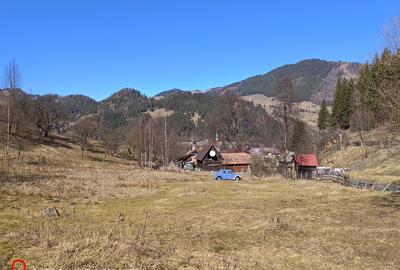 Teren Construcții intravilan de 8000 mp, în Pojorâta - 3