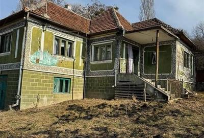 Casă individuală cu 4 camere cu Teren 6240 Mp în Valea Crișului