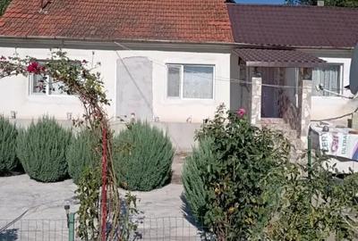 Casă cu 2 camere în Sârbi