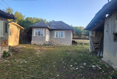 Teren de 2500 mp, în Sud - 2