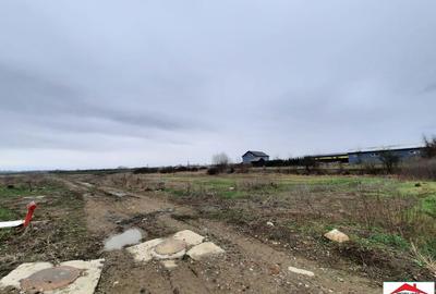 Teren de 12216 mp, în Vetiș - 3