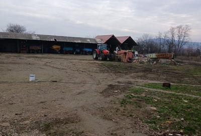 Spațiu comercial, în Apoldu de Jos - 5