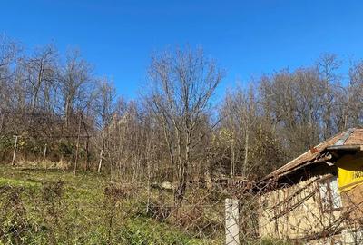 Casă în Bertea - 9