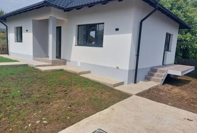 Casă cu 3 camere în Valea Adâncă