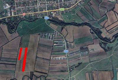 Teren agricol intravilan de 23000 mp, în Bucovăț (Remetea Mare) - 1