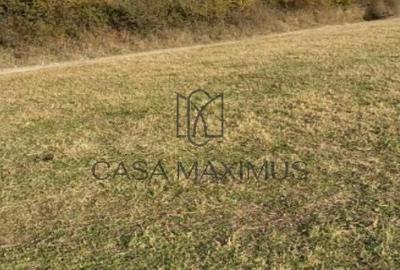 Spațiu comercial, în Gura Râului - 1