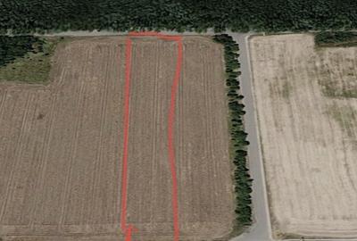 Teren de 4000 mp, în Dragomirești-Deal - 7