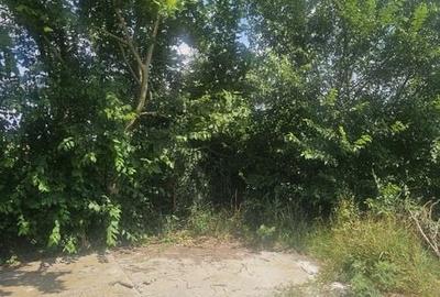 Teren de 520 mp, în Moara Vlăsiei