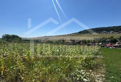 Teren de 1735 mp, în Remetea