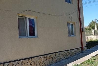 Casă cu 5 camere cu Teren 5500 Mp în Central