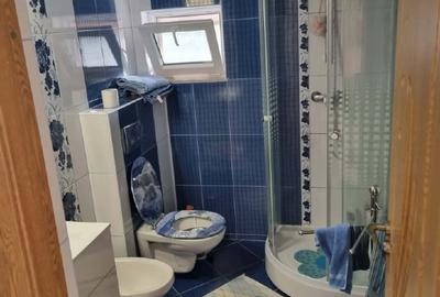 Duplex cu 4 camere cu Teren 540 Mp în Schinteiești - 8