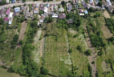Casă individuală cu 6 camere cu Canalizare în Sascut - 4