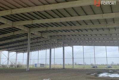 Spațiu industrial, de 5,500 mp, în Sânandrei - 9