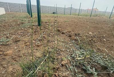 Casă cu 3 camere cu Teren 250 Mp în Braytim