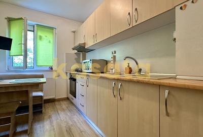 Apartament cu 2 camere semidecomandat, mobilat în Pajura