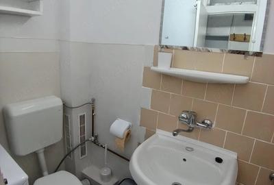 Garsonieră semidecomandată în Paltiniș - 9