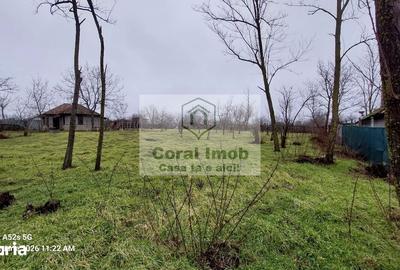 Casă cu 2 camere cu Teren 2016 Mp în Traian - 2