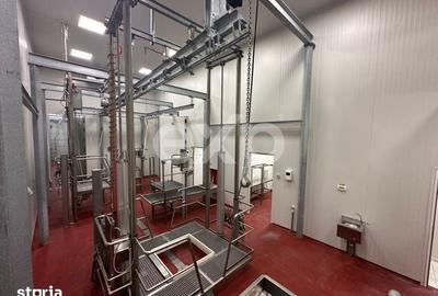 Teren de 105000 mp, în Singureni - 11