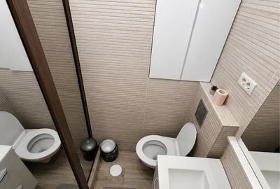 Apartament cu 2 camere semidecomandat în Valea Rosie - 2