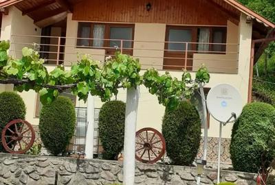 Casă cu 4 camere cu Teren 20 Mp în Băile Herculane - 9