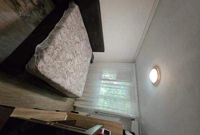 Apartament cu 2 camere decomandat în Giurgiului - 7
