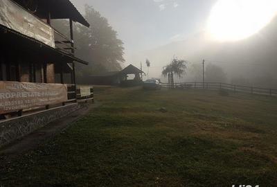 Teren de 5500 mp, în Cerna-Sat - 7