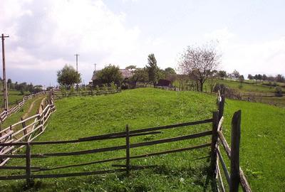 Teren de 970 mp, în Măgura - 5