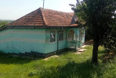 Casă cu Teren 8000 Mp în Gorban