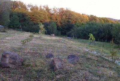 Teren de 7000 mp, în Valea Iașului - 2