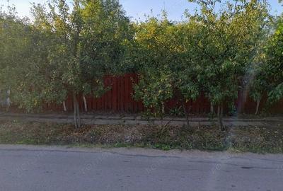 Casă cu Teren 2000 Mp în Izvoarele