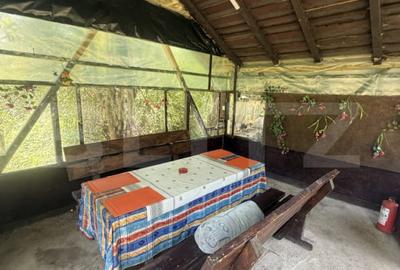 Casă cu 3 camere cu Teren 811 Mp în Pietrari