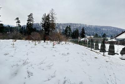 Teren Construcții intravilan de 800 mp, în Bunloc - 2