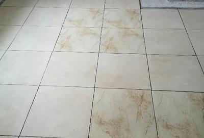 Casă cu 5 camere cu Teren 4700 Mp în Central