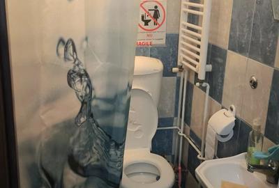 Casă cu 7 camere cu Teren 2118 Mp în Cenad - 3