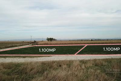 Teren agricol extravilan de 1100 mp, în Codlea - 7