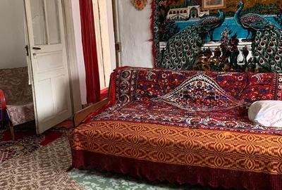 Casă cu Teren 2500 Mp în Luica - 4