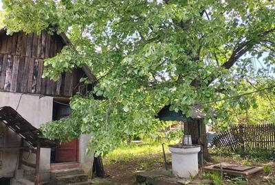 Casă individuală cu 4 camere cu Teren 2300 Mp în Stâlpeni - 5