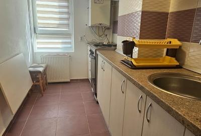Garsonieră semidecomandată în Nicolina - 3
