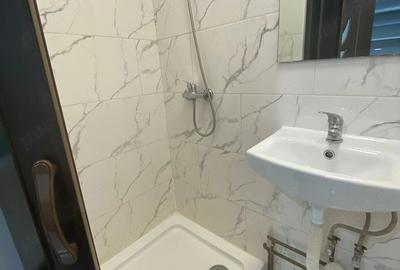 Garsonieră nedecomandată în Buziașului