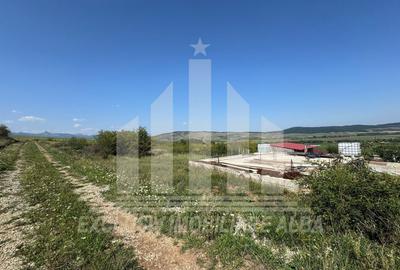 Teren Construcții intravilan de 700 mp, în Micești - 1