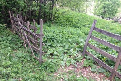Teren de 2508 mp, în Aluniș - 6
