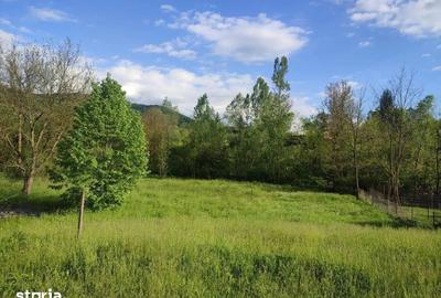 Teren de 3513 mp, în Vișinești - 4