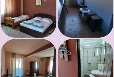 Spațiu comercial, de 440 mp, în Sud - 4