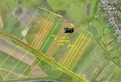 Teren agricol intravilan de 95000 mp, în Cernica - 2