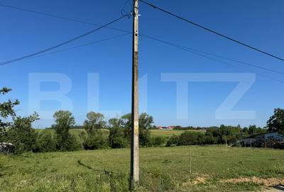 Teren Construcții intravilan de 2877 mp, în Lăzăreni