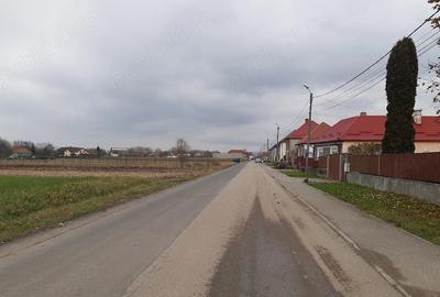 Teren de 5000 mp, în Lunca Calnicului - 6