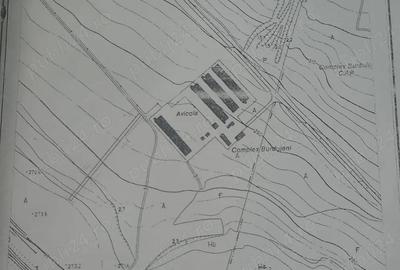 Teren de 2600 mp, în Exterior Vest - 7