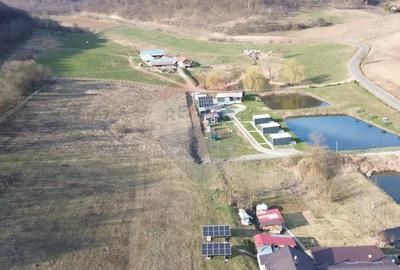 Teren de 7000 mp, în Hoghilag - 11