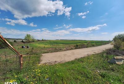 Teren de 32486 mp, în Bărcănești - 13
