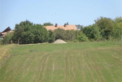 Teren de 5500 mp, în Stejeriș - 8